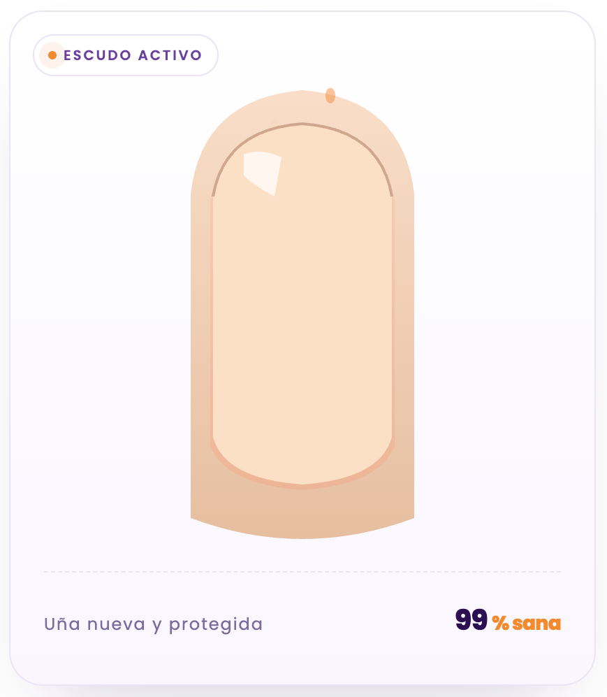 Uña nueva, sana, y con escudo.