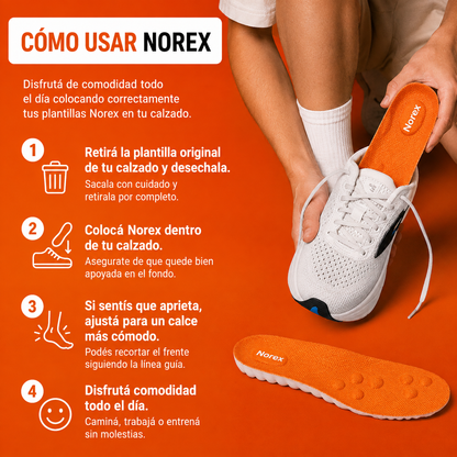 PLANTILLAS NOREX